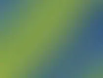 Modello RLI Editabile