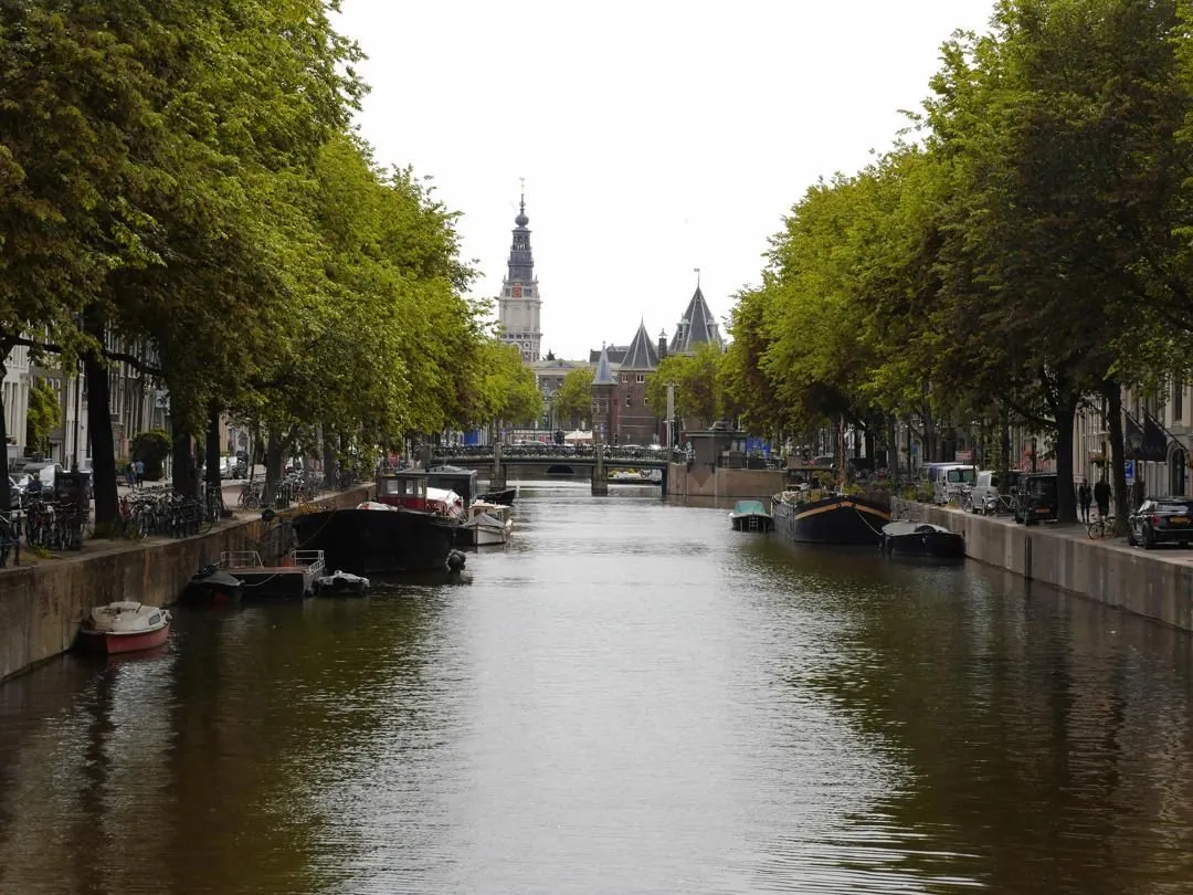 Best universities in Amsterdam