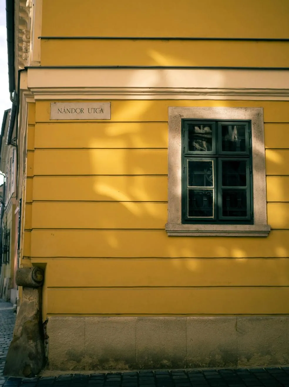 Best universities in Budapest